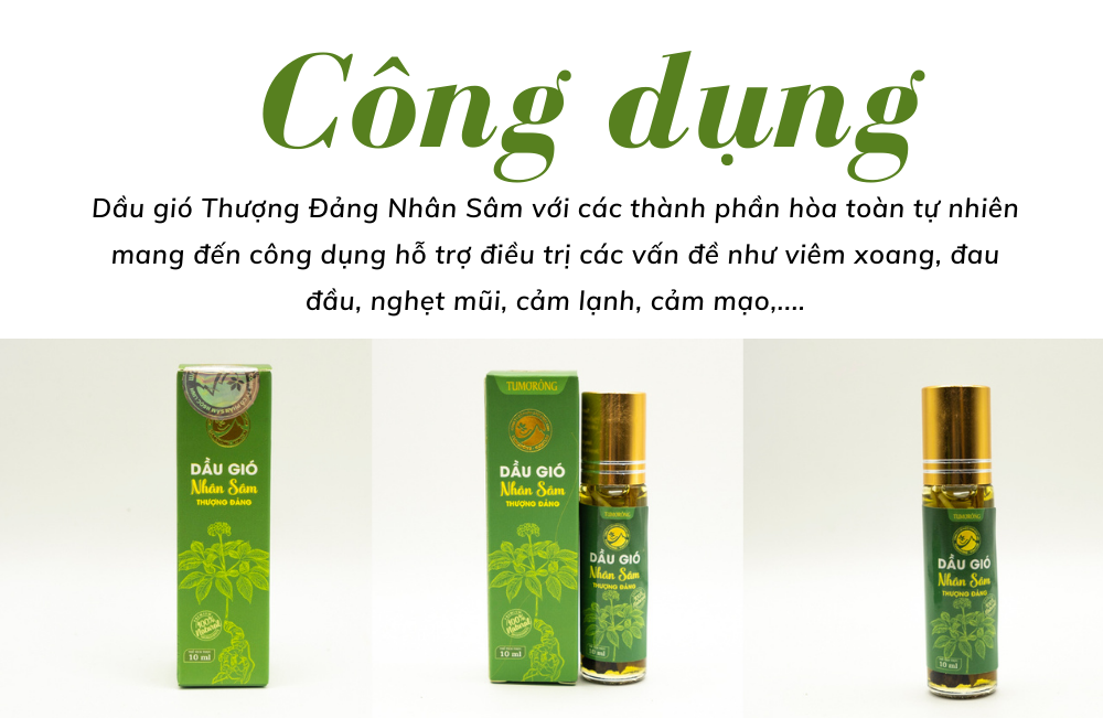 Dầu Gió Nhân Sâm Thượng Đảng Tu Mơ Rông 10ml Từ Sâm Ngọc Linh Kon Tum