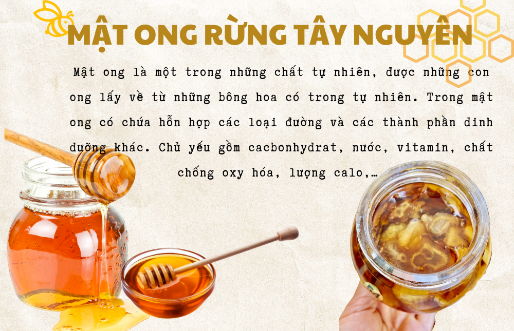 Sâm Ngọc Linh Ngâm Mật Ong Tu Mơ Rông 500ml Hỗ Trợ Bồi Bổ Sức Khỏe