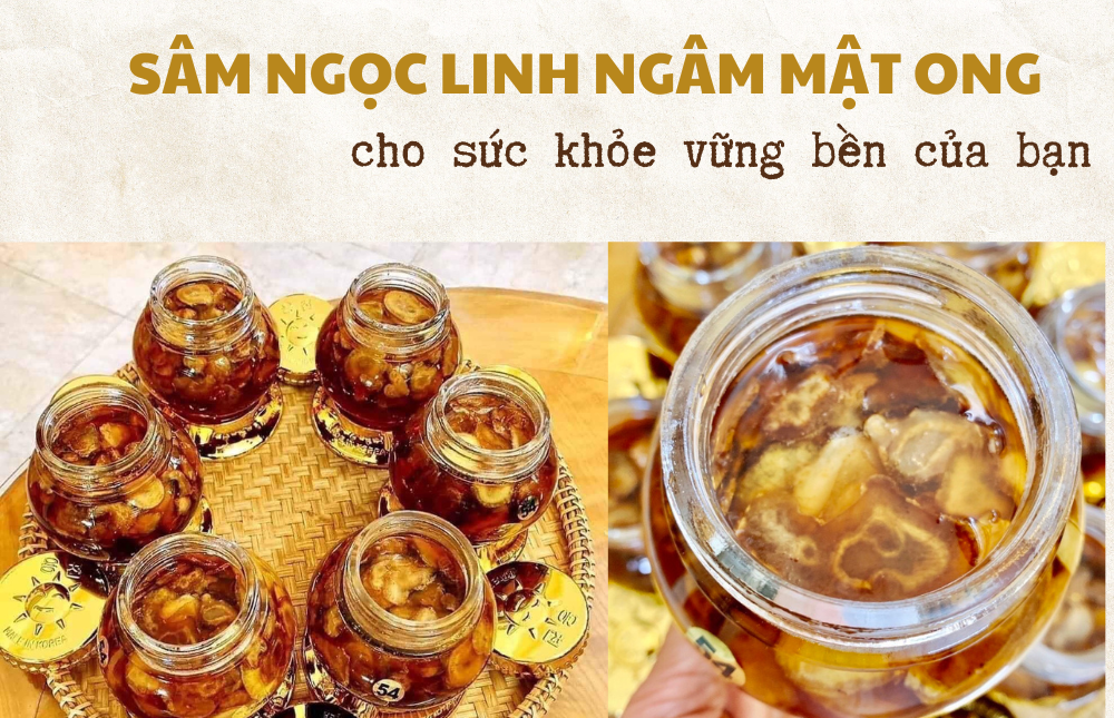 Sâm Ngọc Linh Ngâm Mật Ong Tu Mơ Rông 500ml Hỗ Trợ Bồi Bổ Sức Khỏe